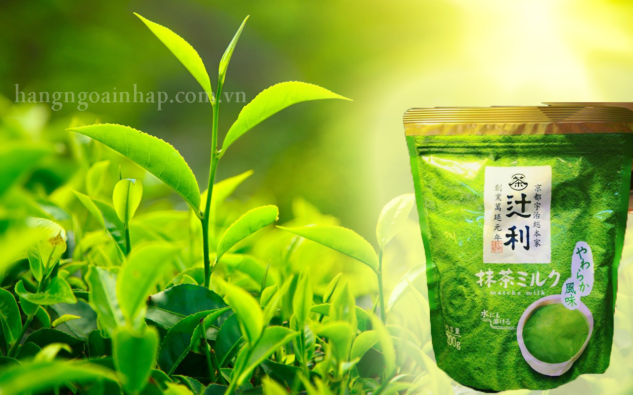 Bột sữa trà xanh của nhật bản Matcha Milk 200g