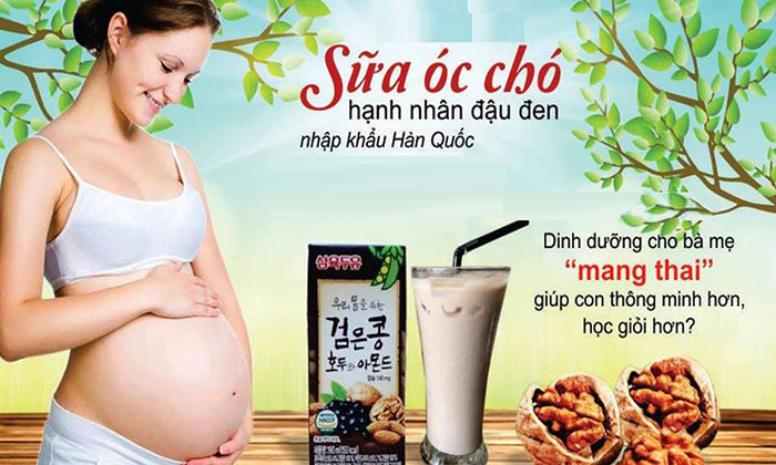 Sữa óc chó cho bà bầu